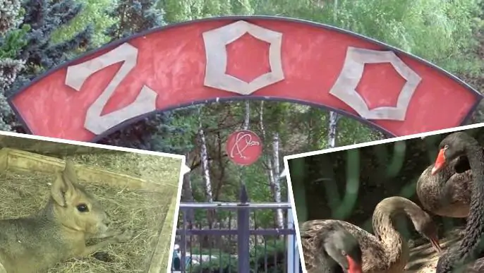 Gradina Zoologica din Chișinău s-a îmbogățit cu pui de păsări și animale