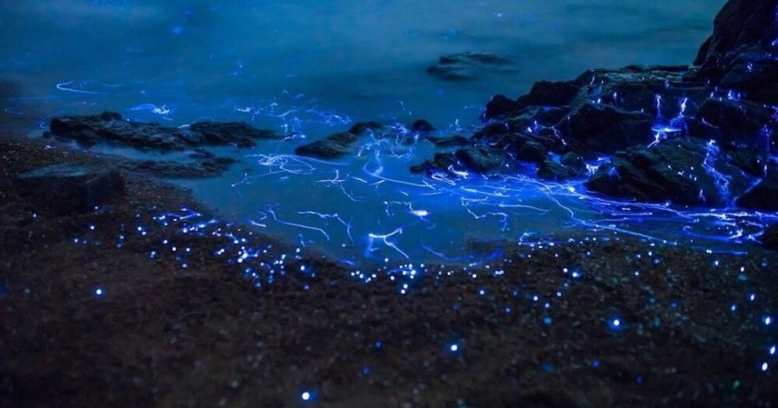 Pietre plângătoare de pe coasta Okayama