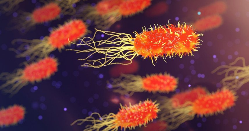 10 Cele mai periculoase bacterii