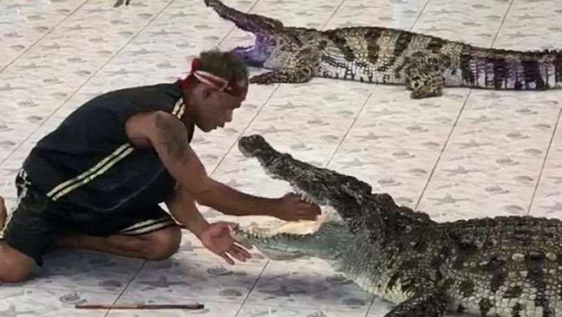A vrut să arate că își poate băga mâna în gura unui crocodil. Cum a reacționat reptila