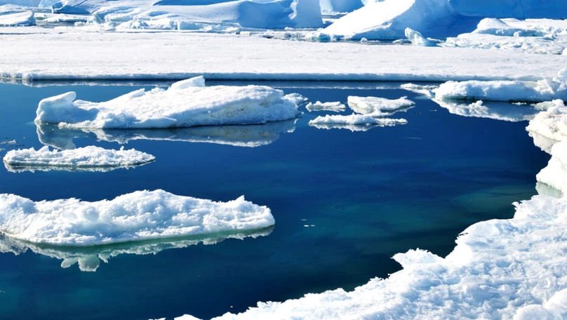 Eforturile actuale de protejare a ecosistemelor din Antarctica sunt insuficiente