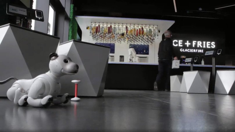 În Islanda a fost deschis un bar complet robotizat în perioada pandemiei