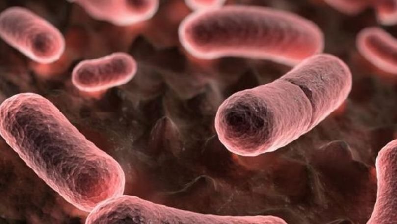 O bacterie ucigaşă se răspândeşte în spitalele din toată lumea, fără a putea fi detectată