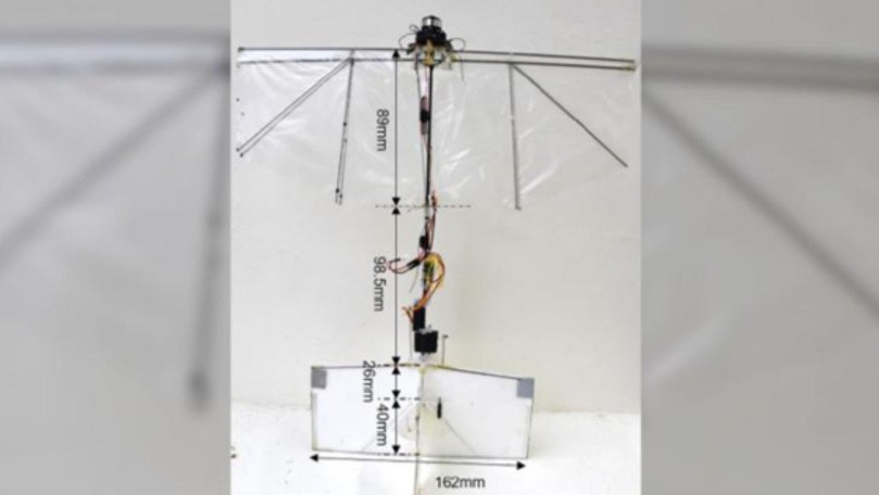 Robotul care poate plana şi se poate roti exact ca o pasăre