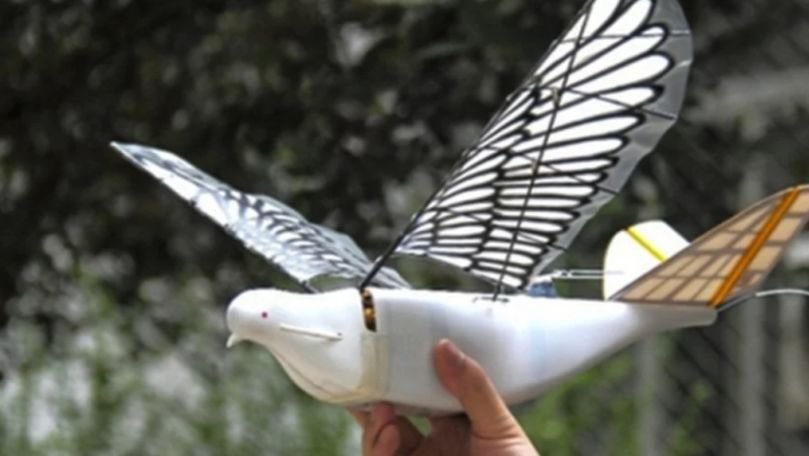 Țara care folosește păsările-robot ca să își spioneze cetățenii