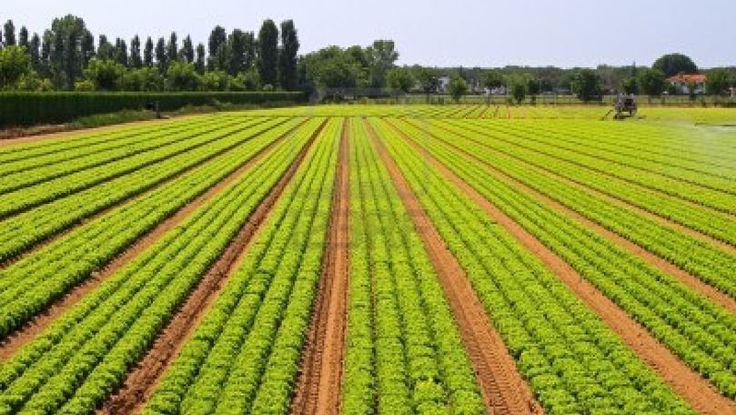 Unealta care va revoluționa modul în care se face agricultură