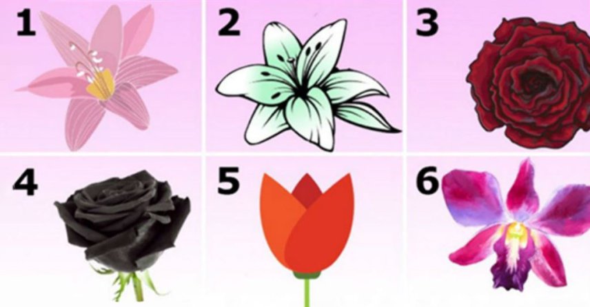 Test: Alege o floare şi vei afla ce secrete ascunde personalitatea ta