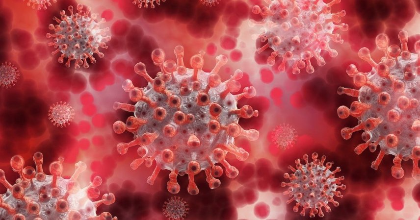 Oamenii de știință au descoperit vulnerabilitatea 🦠 coronavirusurilor
