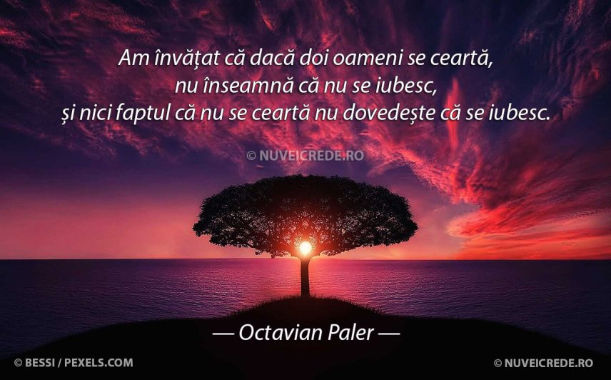 Am învățat – de Octavian Paler
