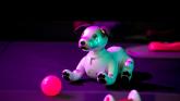 Un robot de peste o tonă va fi expus la un muzeu din Capitală foto-04