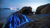 Pietre plângătoare de pe coasta Okayama foto-02