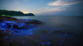 Pietre plângătoare de pe coasta Okayama foto-06